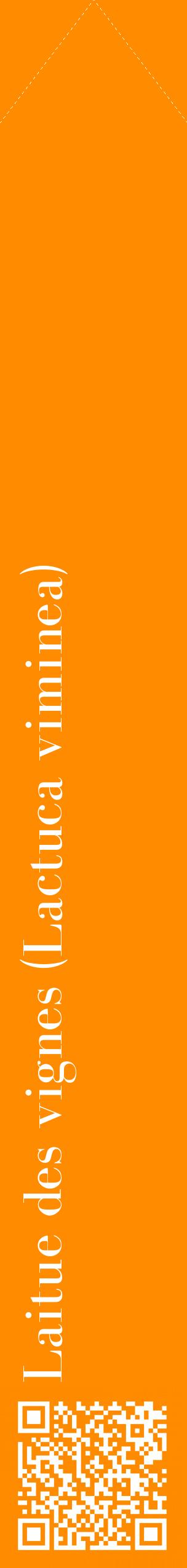 Étiquette de : Lactuca viminea - format c - style blanche23_simplebod avec qrcode et comestibilité