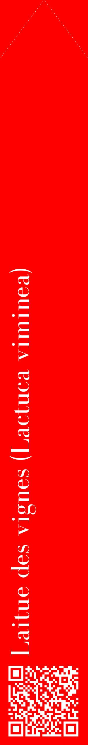 Étiquette de : Lactuca viminea - format c - style blanche27_simplebod avec qrcode et comestibilité