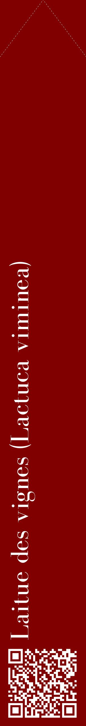 Étiquette de : Lactuca viminea - format c - style blanche29_simplebod avec qrcode et comestibilité
