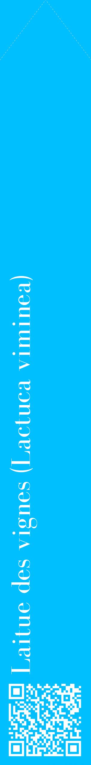Étiquette de : Lactuca viminea - format c - style blanche2_simplebod avec qrcode et comestibilité