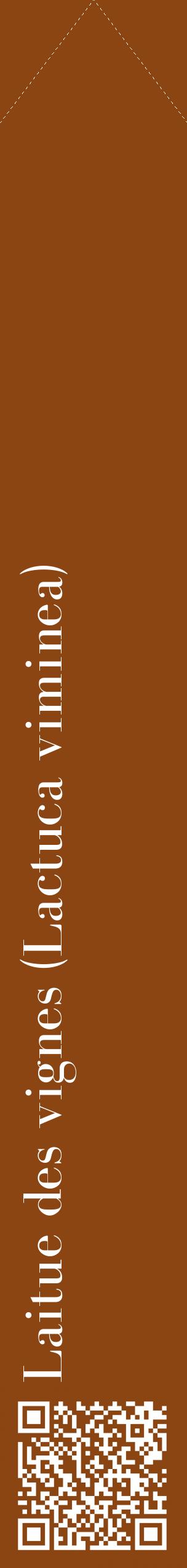 Étiquette de : Lactuca viminea - format c - style blanche30_simplebod avec qrcode et comestibilité