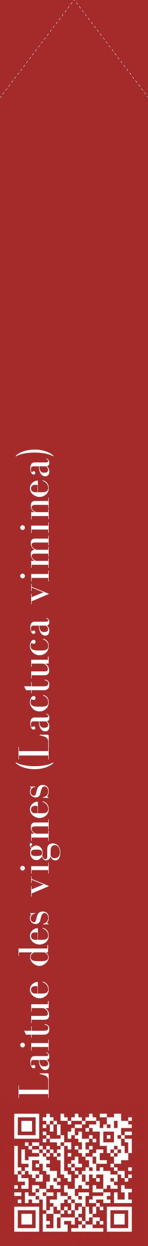 Étiquette de : Lactuca viminea - format c - style blanche33_simplebod avec qrcode et comestibilité