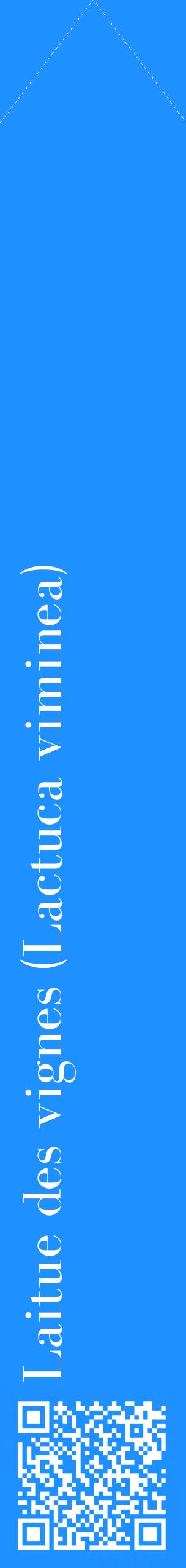 Étiquette de : Lactuca viminea - format c - style blanche3_simplebod avec qrcode et comestibilité