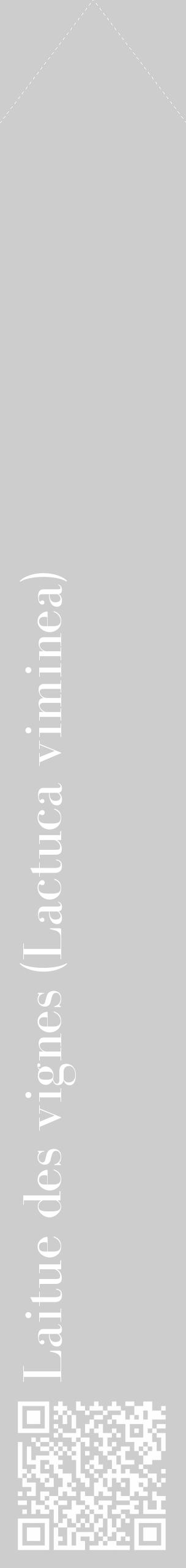 Étiquette de : Lactuca viminea - format c - style blanche41_simple_simplebod avec qrcode et comestibilité - position verticale