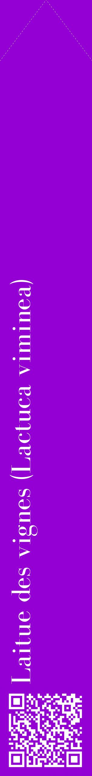 Étiquette de : Lactuca viminea - format c - style blanche48_simplebod avec qrcode et comestibilité