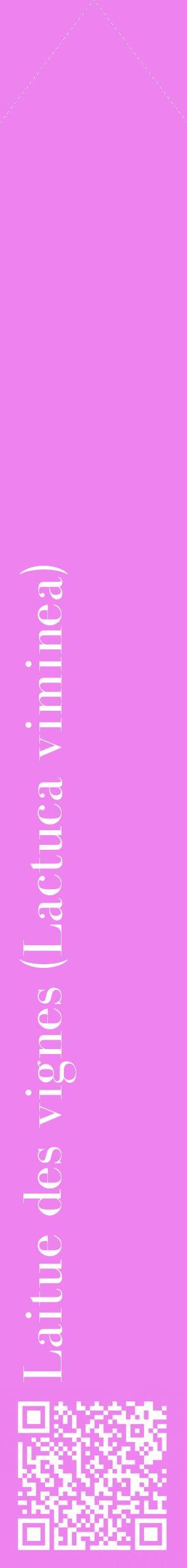 Étiquette de : Lactuca viminea - format c - style blanche53_simplebod avec qrcode et comestibilité