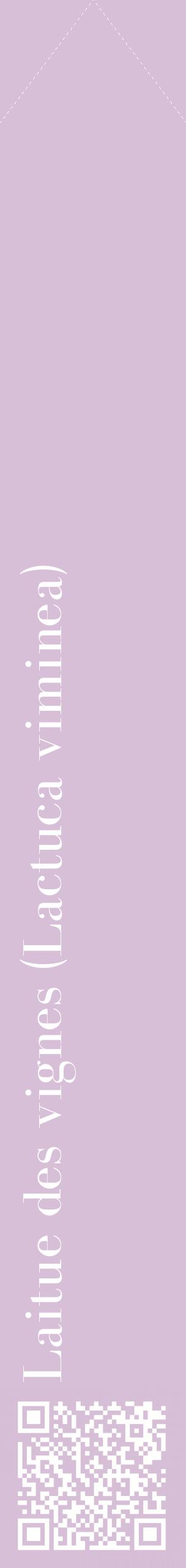 Étiquette de : Lactuca viminea - format c - style blanche54_simplebod avec qrcode et comestibilité