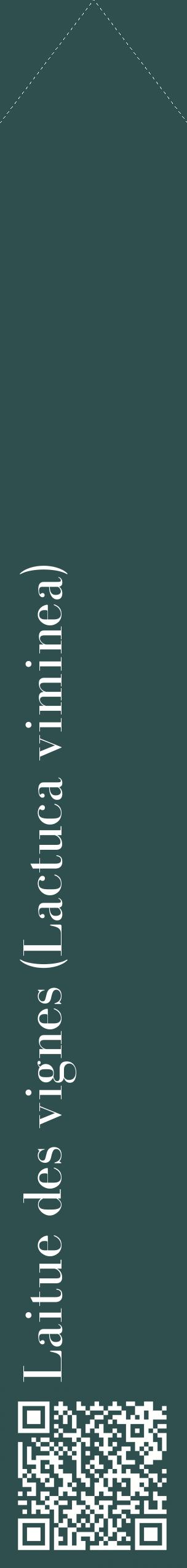 Étiquette de : Lactuca viminea - format c - style blanche58_simplebod avec qrcode et comestibilité