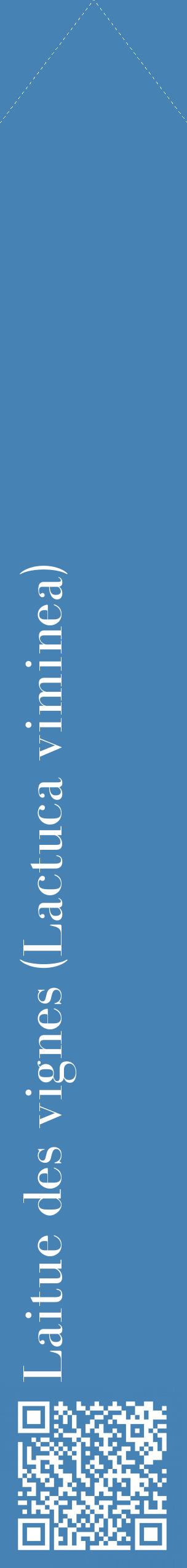 Étiquette de : Lactuca viminea - format c - style blanche5_simplebod avec qrcode et comestibilité