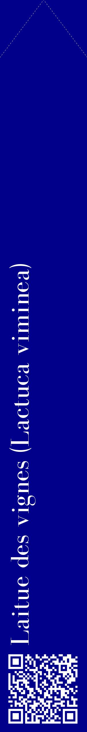 Étiquette de : Lactuca viminea - format c - style blanche7_simplebod avec qrcode et comestibilité