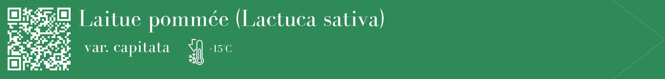 Étiquette de : Lactuca sativa var. capitata - format c - style blanche11_simple_simplebod avec qrcode et comestibilité