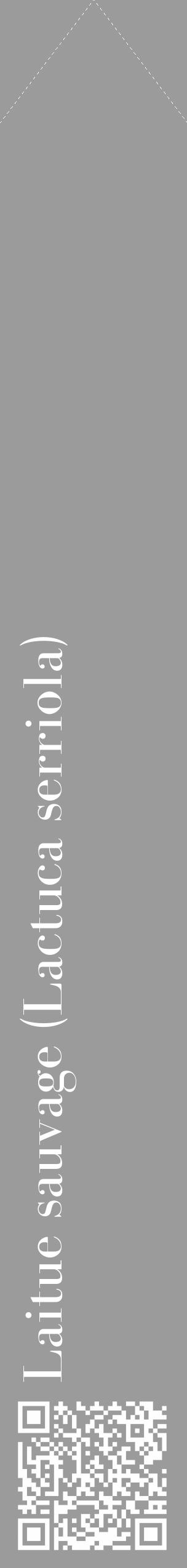 Étiquette de : Lactuca serriola - format c - style blanche52_simple_simplebod avec qrcode et comestibilité - position verticale