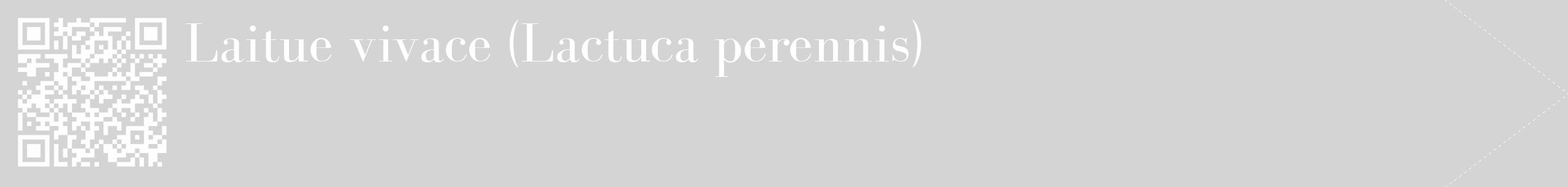 Étiquette de : Lactuca perennis - format c - style blanche40_simple_simplebod avec qrcode et comestibilité