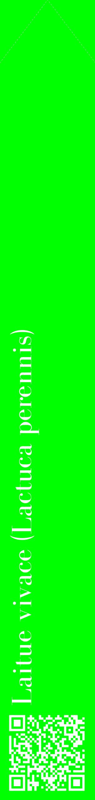 Étiquette de : Lactuca perennis - format c - style blanche16_simplebod avec qrcode et comestibilité