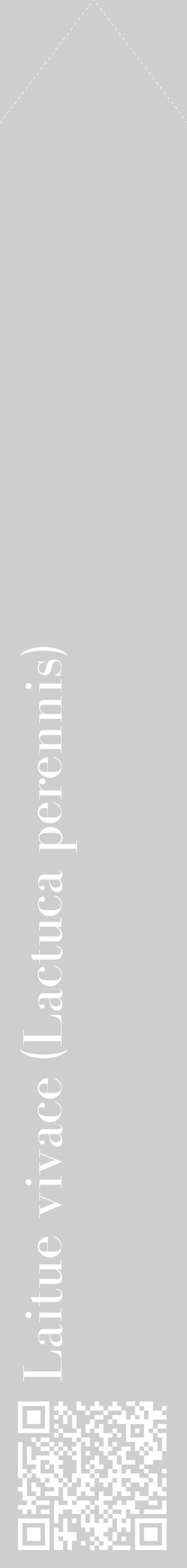 Étiquette de : Lactuca perennis - format c - style blanche17_simple_simplebod avec qrcode et comestibilité - position verticale