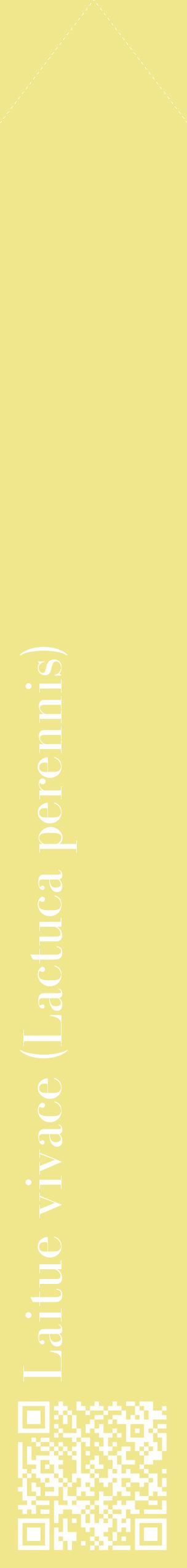 Étiquette de : Lactuca perennis - format c - style blanche20_simplebod avec qrcode et comestibilité