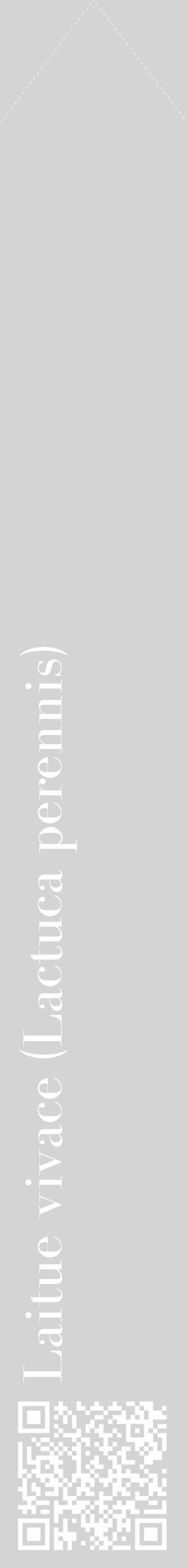 Étiquette de : Lactuca perennis - format c - style blanche40_simple_simplebod avec qrcode et comestibilité - position verticale