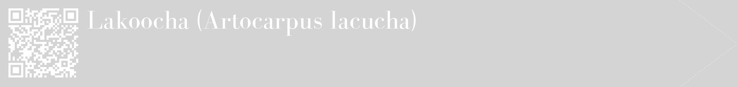 Étiquette de : Artocarpus lacucha - format c - style blanche40_simple_simplebod avec qrcode et comestibilité