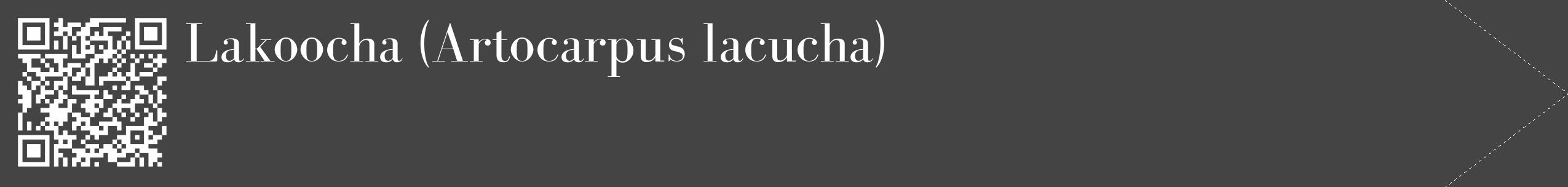 Étiquette de : Artocarpus lacucha - format c - style blanche48_simple_simplebod avec qrcode et comestibilité