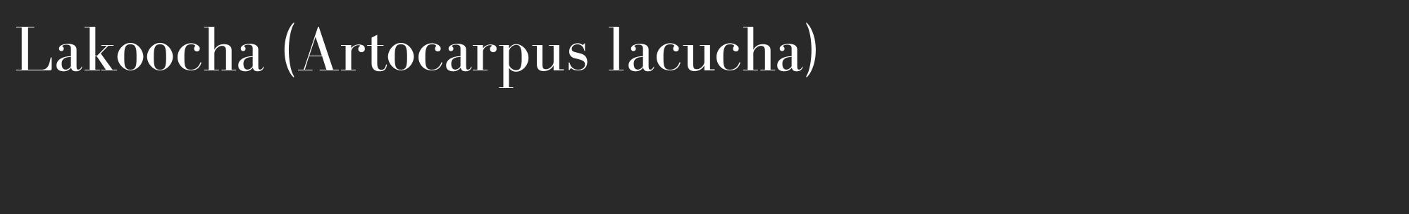 Étiquette de : Artocarpus lacucha - format c - style blanche34_basique_basiquebod avec comestibilité