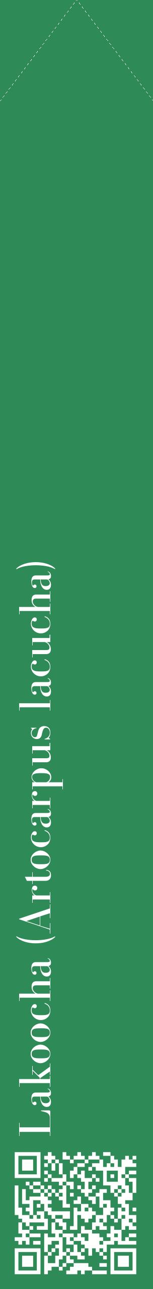 Étiquette de : Artocarpus lacucha - format c - style blanche11_simplebod avec qrcode et comestibilité