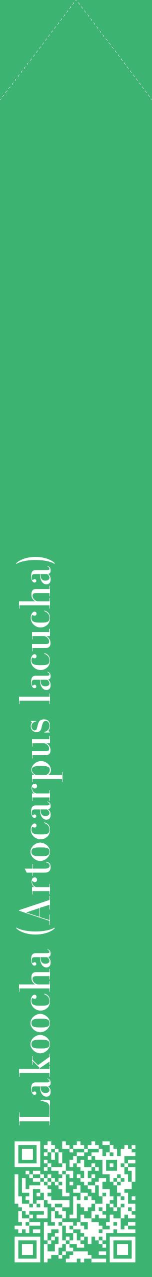 Étiquette de : Artocarpus lacucha - format c - style blanche12_simplebod avec qrcode et comestibilité