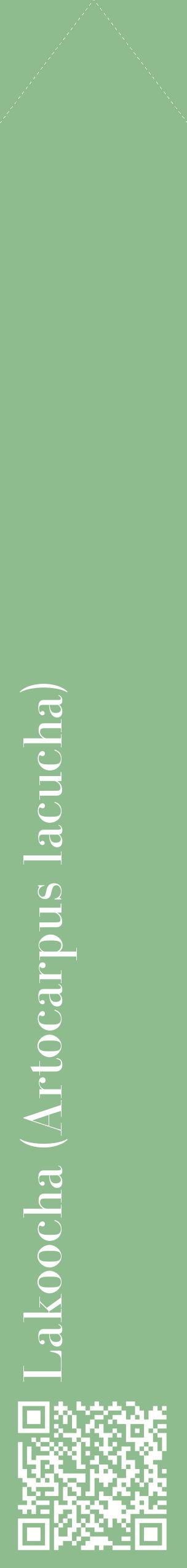 Étiquette de : Artocarpus lacucha - format c - style blanche13_simplebod avec qrcode et comestibilité