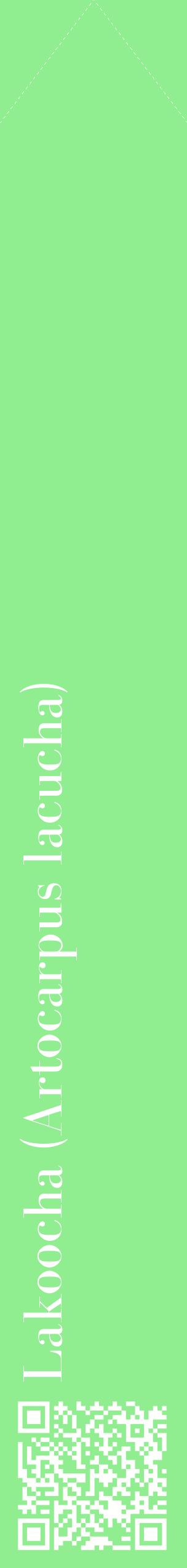 Étiquette de : Artocarpus lacucha - format c - style blanche15_simplebod avec qrcode et comestibilité