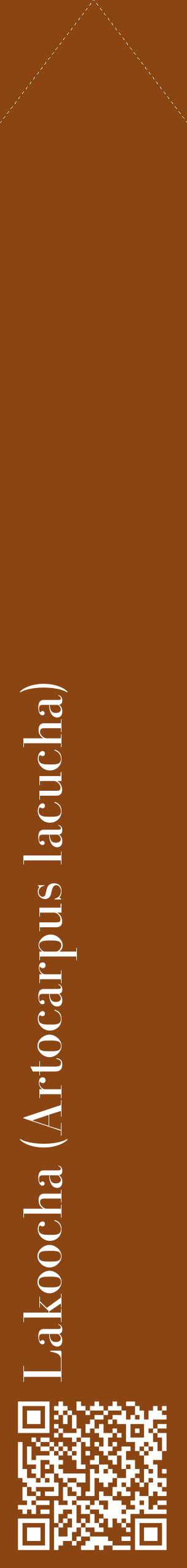 Étiquette de : Artocarpus lacucha - format c - style blanche30_simplebod avec qrcode et comestibilité
