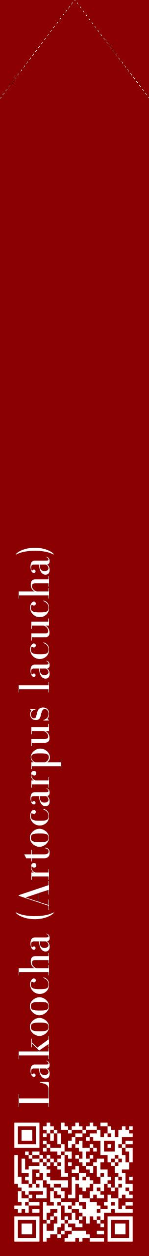 Étiquette de : Artocarpus lacucha - format c - style blanche34_simplebod avec qrcode et comestibilité