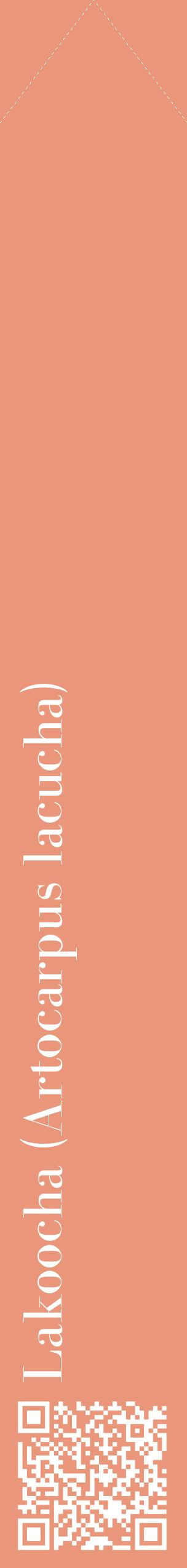 Étiquette de : Artocarpus lacucha - format c - style blanche37_simplebod avec qrcode et comestibilité