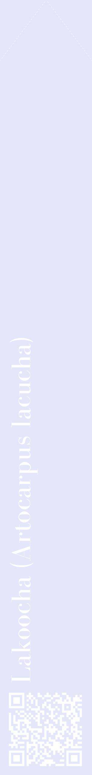 Étiquette de : Artocarpus lacucha - format c - style blanche55_simplebod avec qrcode et comestibilité