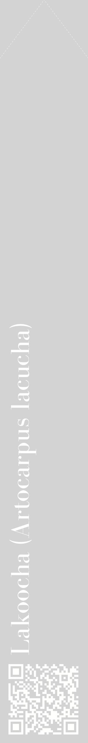 Étiquette de : Artocarpus lacucha - format c - style blanche56_simplebod avec qrcode et comestibilité