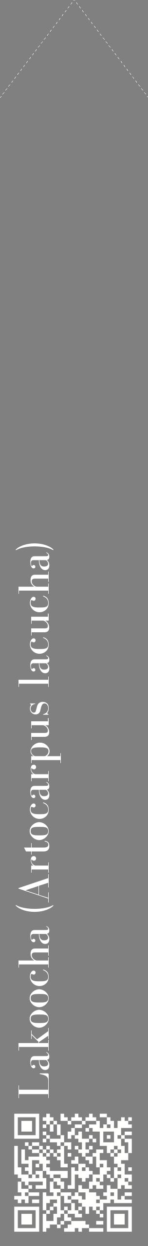 Étiquette de : Artocarpus lacucha - format c - style blanche57_simplebod avec qrcode et comestibilité