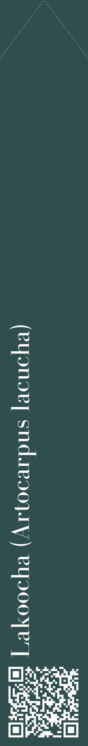 Étiquette de : Artocarpus lacucha - format c - style blanche58_simplebod avec qrcode et comestibilité