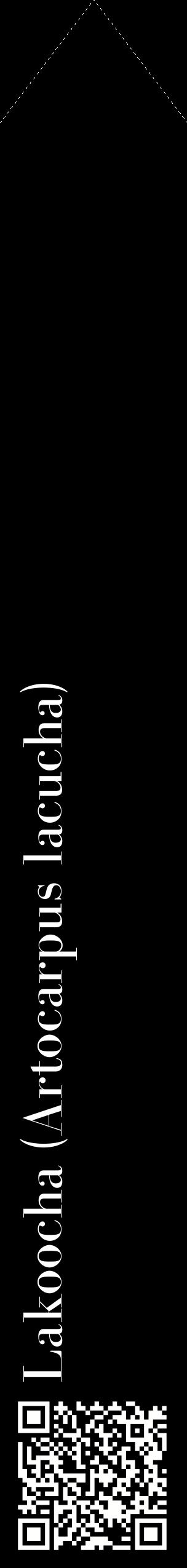 Étiquette de : Artocarpus lacucha - format c - style blanche59_simplebod avec qrcode et comestibilité