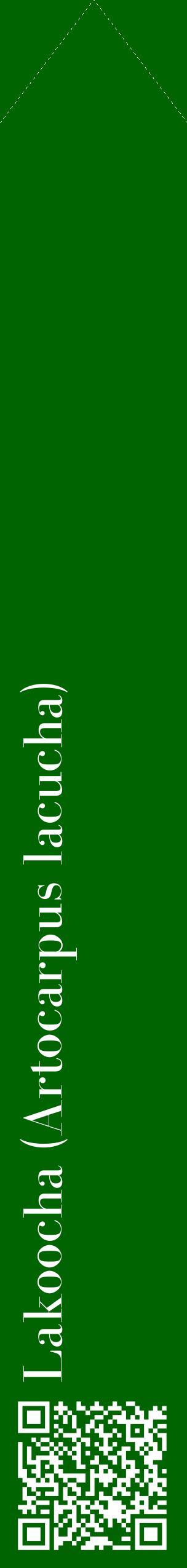 Étiquette de : Artocarpus lacucha - format c - style blanche8_simplebod avec qrcode et comestibilité