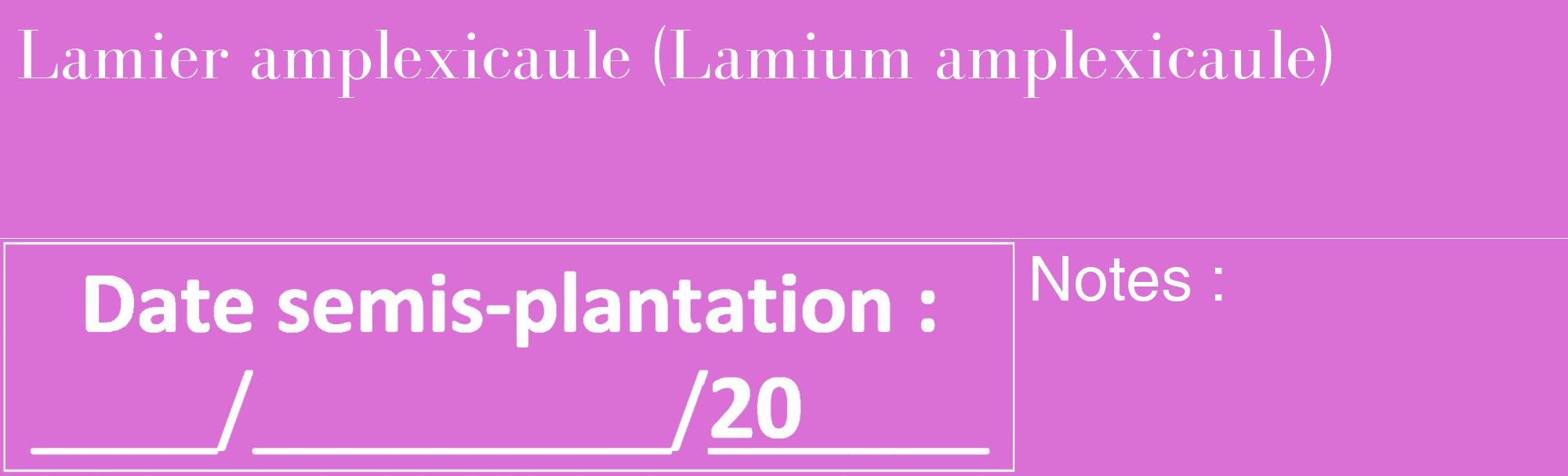 Étiquette de : Lamium amplexicaule - format c - style blanche52_basique_basiquebod avec comestibilité