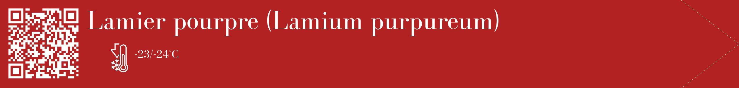 Étiquette de : Lamium purpureum - format c - style blanche28_simple_simplebod avec qrcode et comestibilité