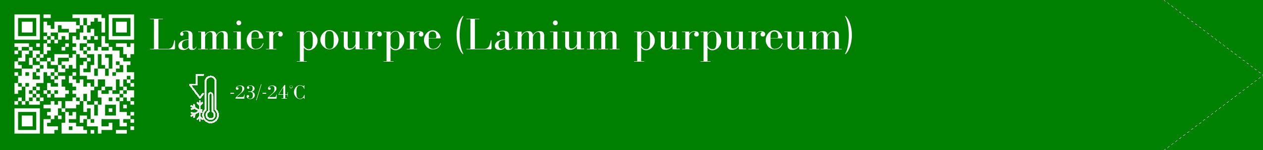 Étiquette de : Lamium purpureum - format c - style blanche9_simple_simplebod avec qrcode et comestibilité