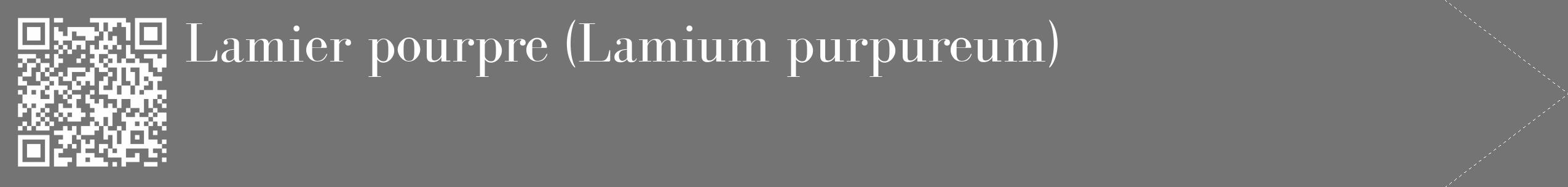 Étiquette de : Lamium purpureum - format c - style blanche26_simple_simplebod avec qrcode et comestibilité