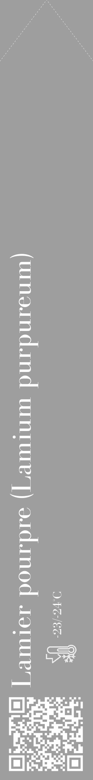 Étiquette de : Lamium purpureum - format c - style blanche23_simple_simplebod avec qrcode et comestibilité - position verticale