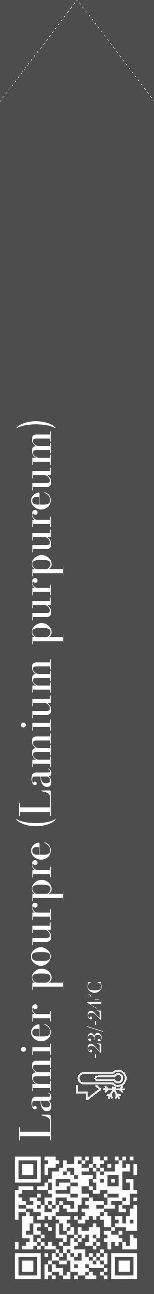 Étiquette de : Lamium purpureum - format c - style blanche28_simple_simplebod avec qrcode et comestibilité - position verticale