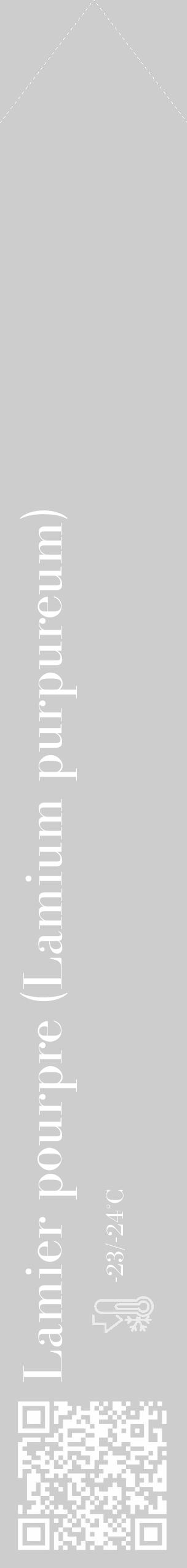 Étiquette de : Lamium purpureum - format c - style blanche41_simple_simplebod avec qrcode et comestibilité - position verticale