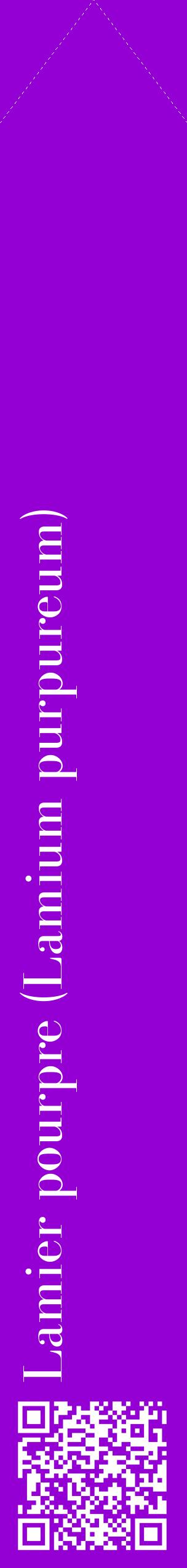 Étiquette de : Lamium purpureum - format c - style blanche48_simplebod avec qrcode et comestibilité
