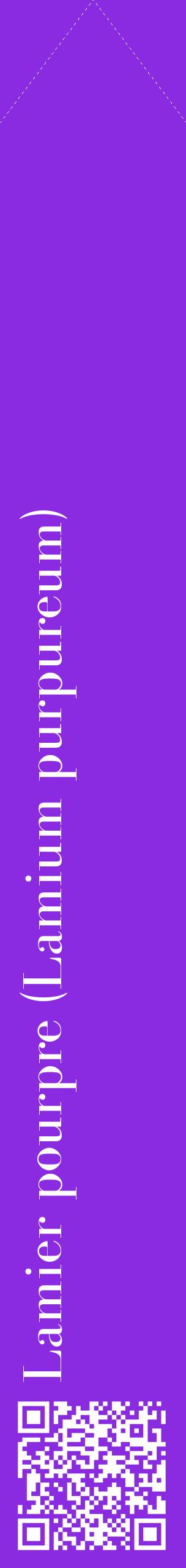 Étiquette de : Lamium purpureum - format c - style blanche49_simplebod avec qrcode et comestibilité