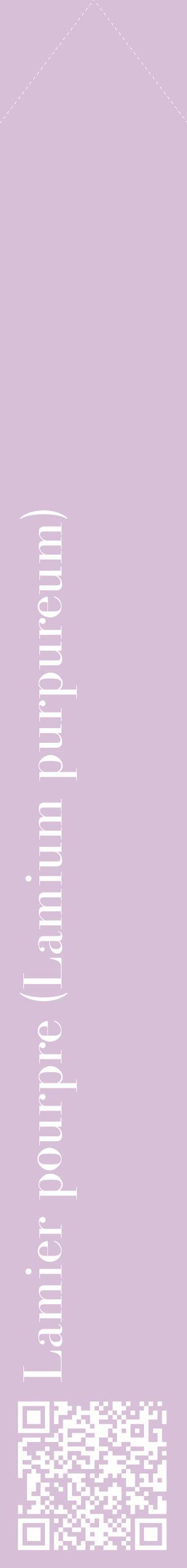 Étiquette de : Lamium purpureum - format c - style blanche54_simplebod avec qrcode et comestibilité