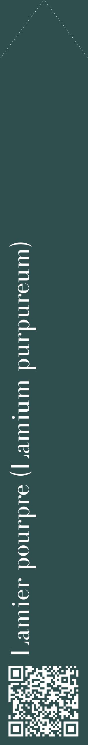 Étiquette de : Lamium purpureum - format c - style blanche58_simplebod avec qrcode et comestibilité