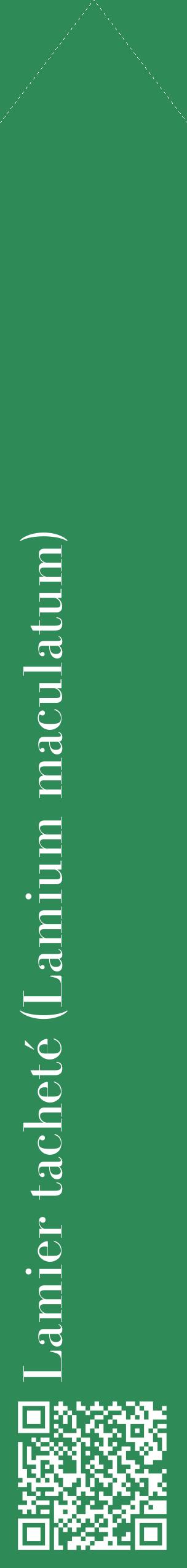 Étiquette de : Lamium maculatum - format c - style blanche11_simplebod avec qrcode et comestibilité