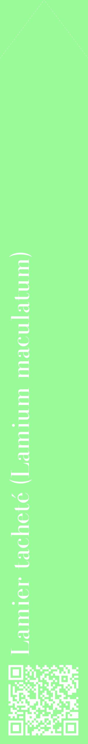 Étiquette de : Lamium maculatum - format c - style blanche14_simplebod avec qrcode et comestibilité